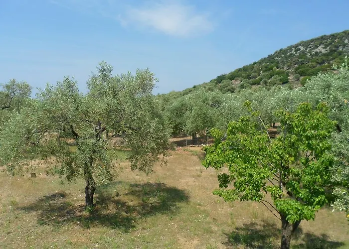 Lonely House 別荘 *